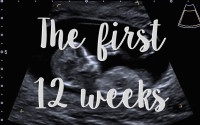 The first trimester diary